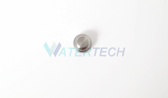 WT015384-1 60K Water Jet Intensifier Parts Check Valve Inlet Poppet